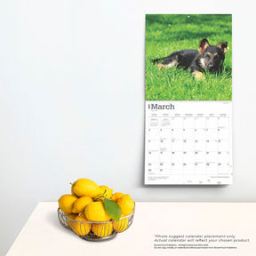 2025 German Shepherd Puppies Calendar