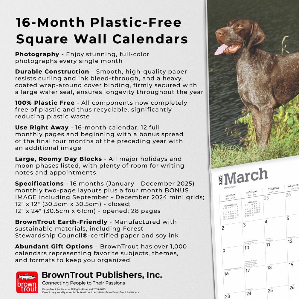 2025 German Shorthaired Pointers Calendar