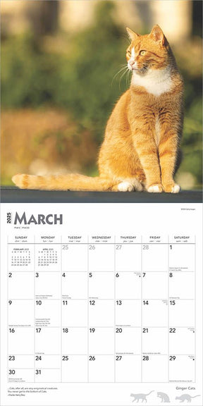 2025 Ginger Cats Calendar