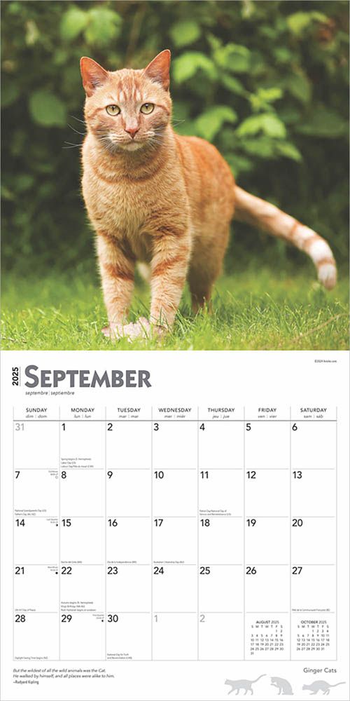 2025 Ginger Cats Calendar