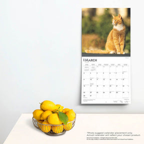 2025 Ginger Cats Calendar