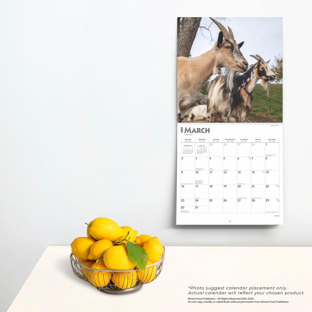 2025 Goats Calendar