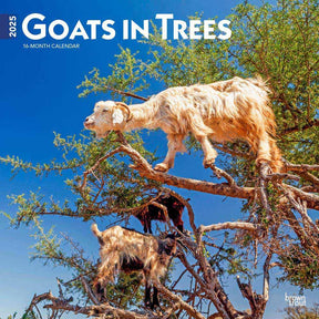 2025 Goats In Trees Calendar