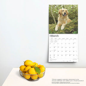 2025 Golden Retrievers Calendar