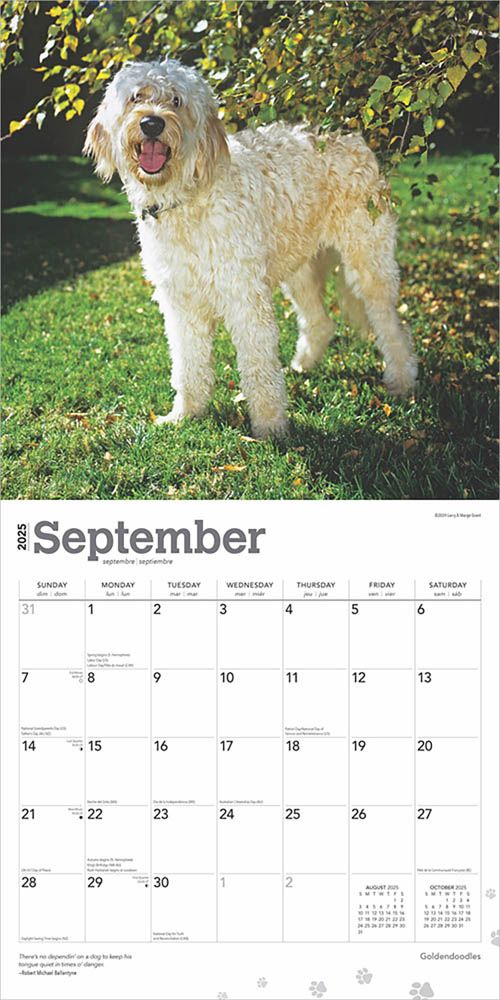 2025 Goldendoodles Calendar