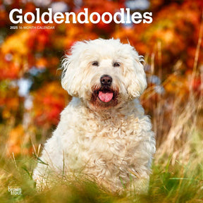 2025 Goldendoodles Calendar