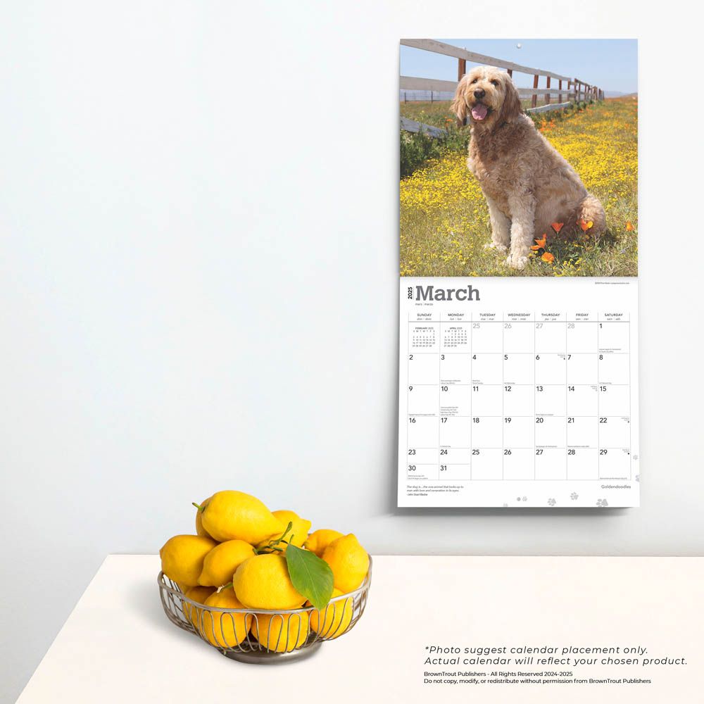 2025 Goldendoodles Calendar