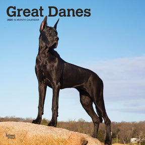 2025 Great Danes Calendar