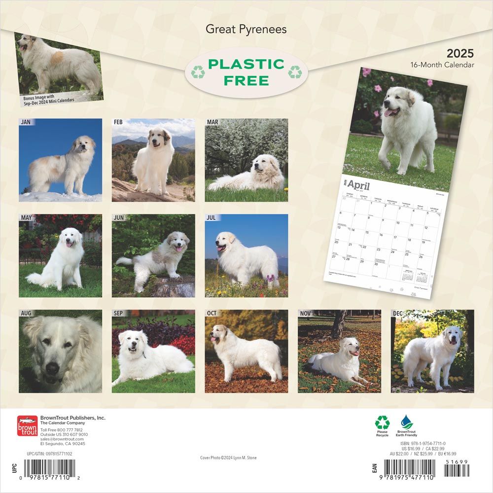 2025 Great Pyrenees Calendar