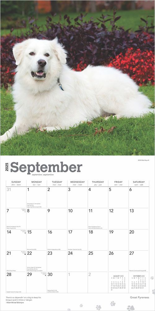 2025 Great Pyrenees Calendar