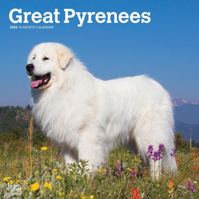 2025 Great Pyrenees Calendar