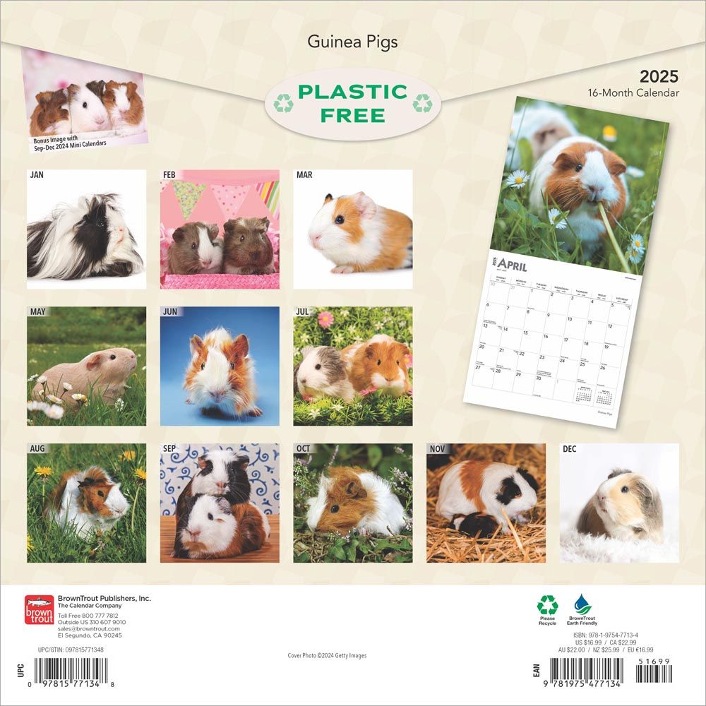 2025 Guinea Pigs Calendar