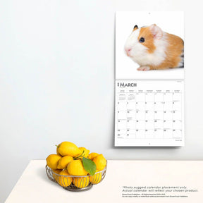 2025 Guinea Pigs Calendar