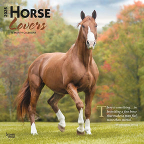 2025 Horse Lovers Calendar