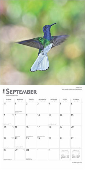 2025 Hummingbirds Calendar