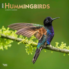 2025 Hummingbirds Calendar