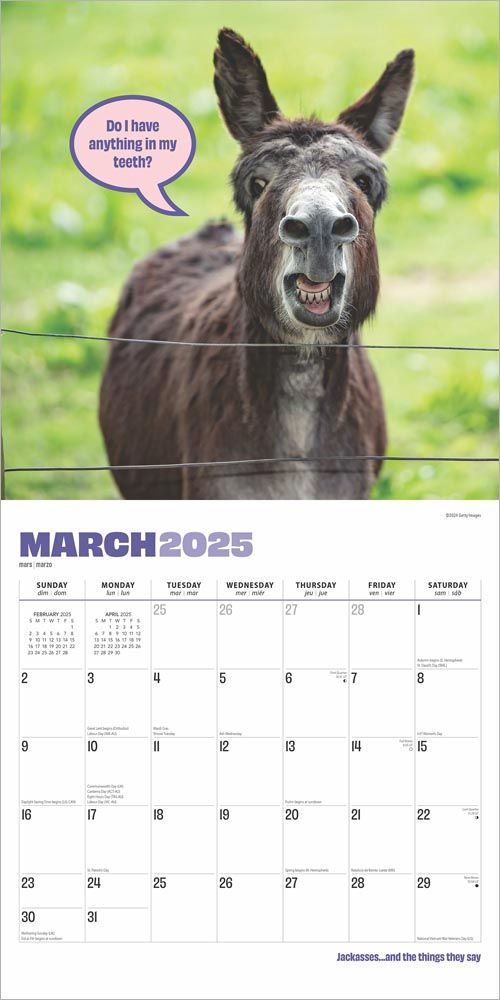 2025 Jackasses Calendar