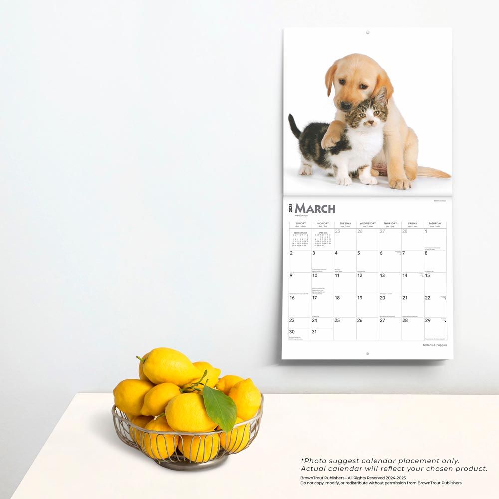 2025 Kittens & Puppies Calendar