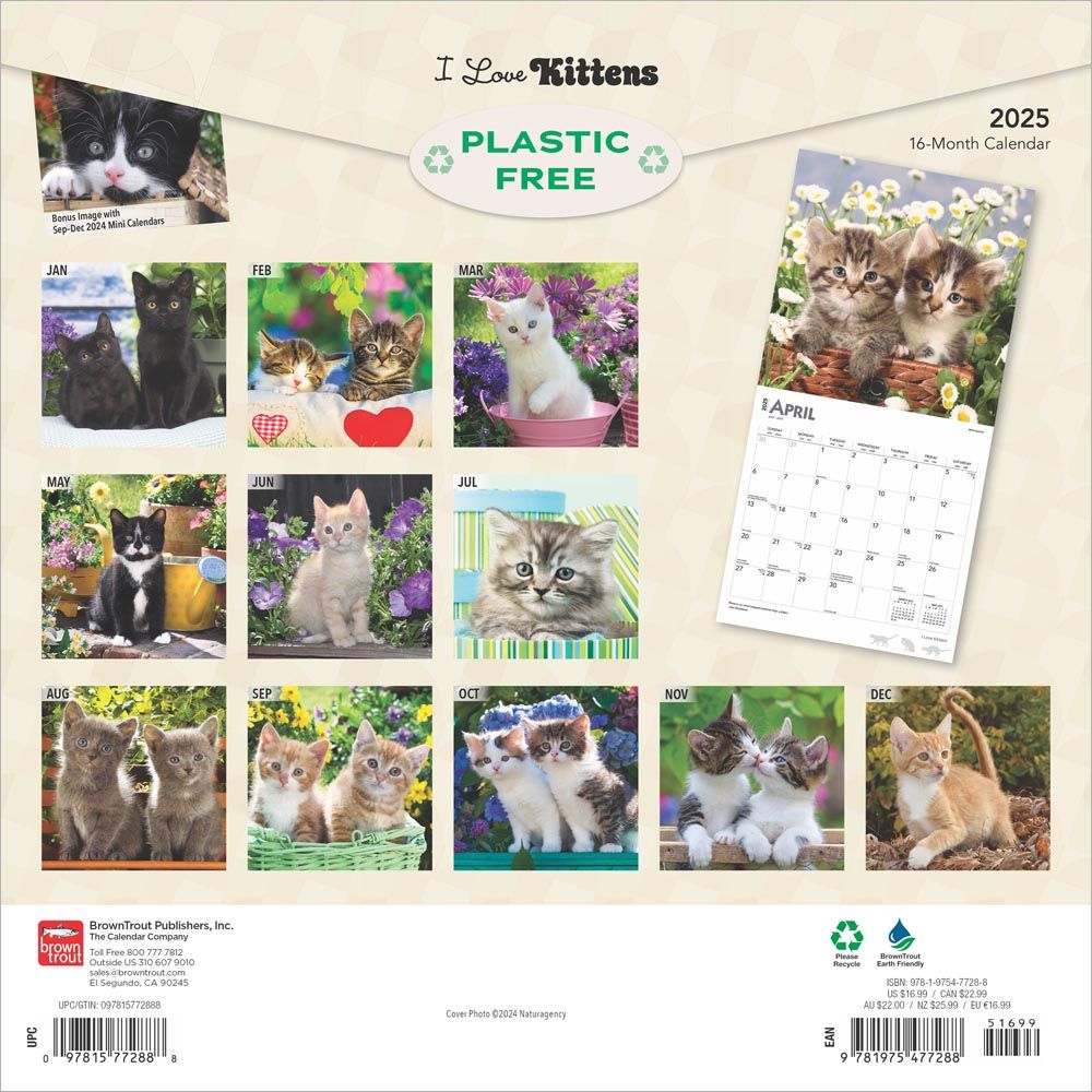 2025 I Love Kittens Calendar