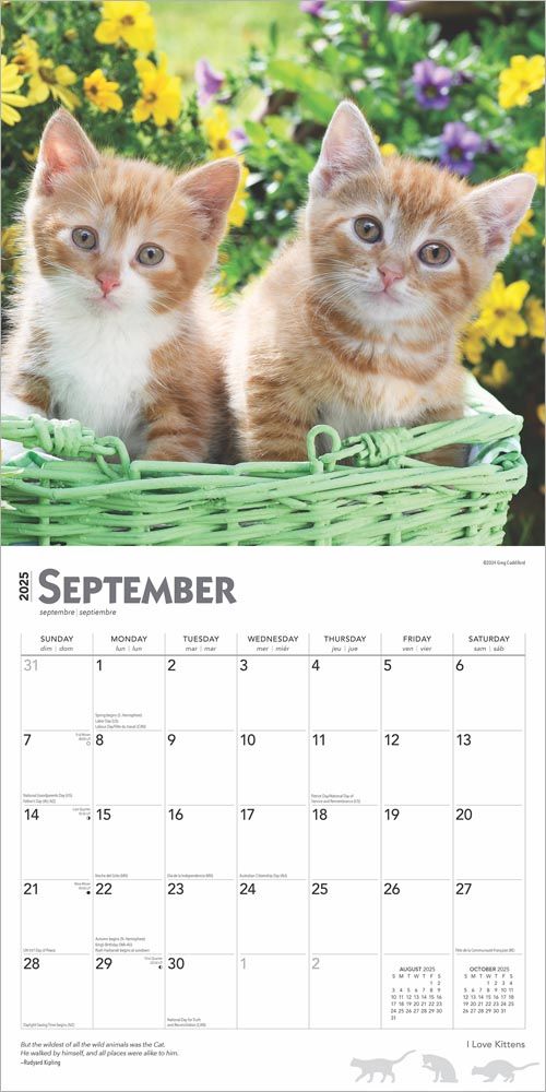 2025 I Love Kittens Calendar