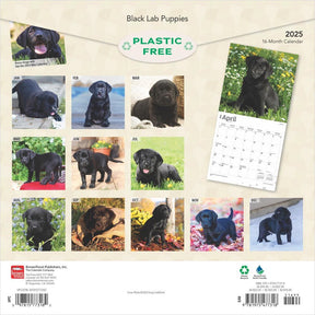 2025 Black Labrador Retriever Puppies Calendar