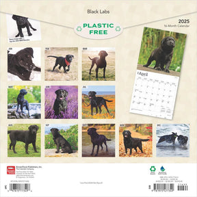 2025 Black Labrador Retrievers Calendar