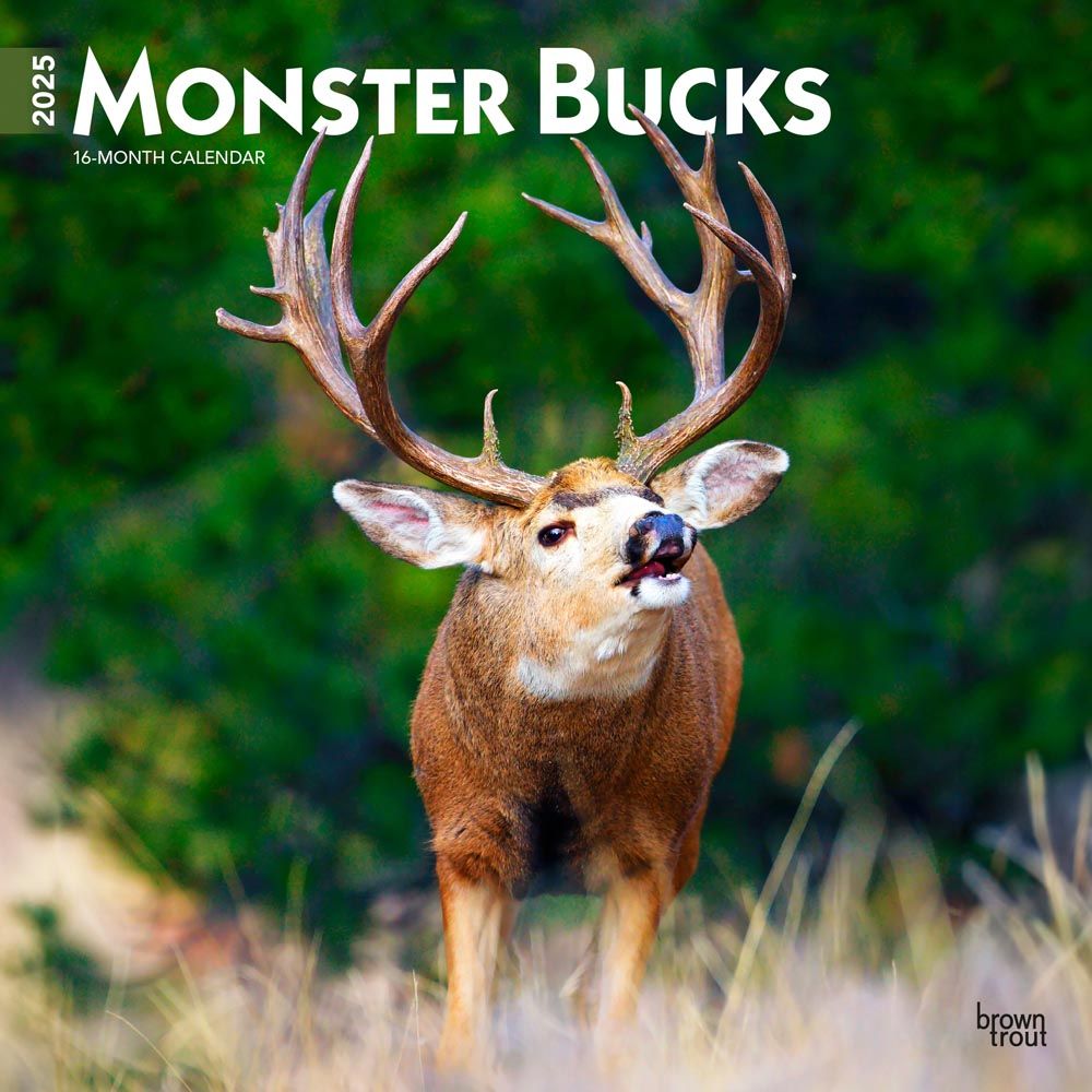 2025 Monster Bucks Calendar