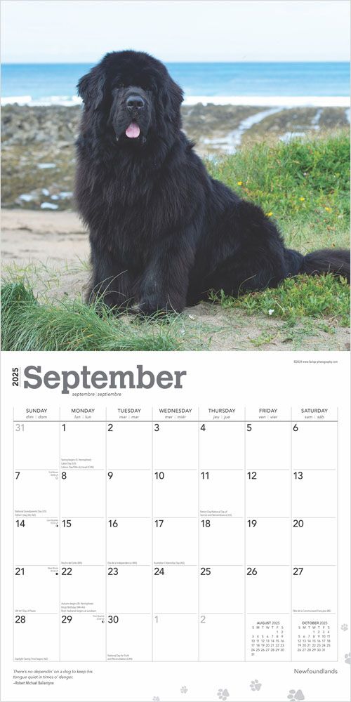 2025 Newfoundlands Calendar