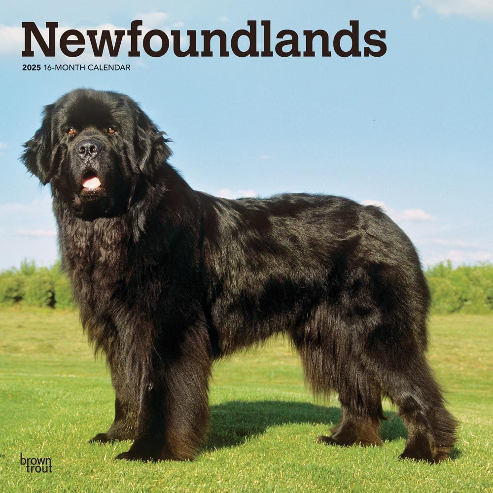 2025 Newfoundlands Calendar