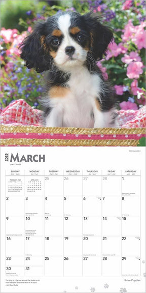 2025 I Love Puppies Calendar