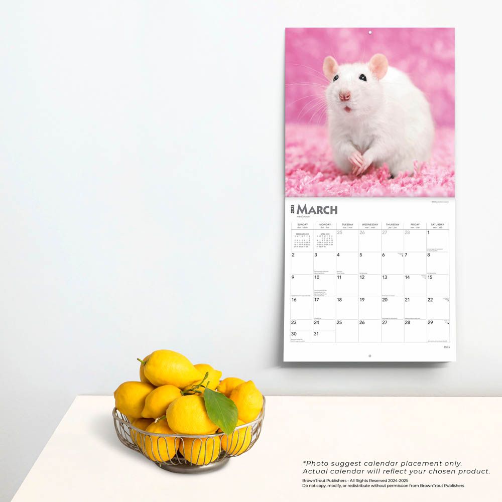 2025 Rats Calendar