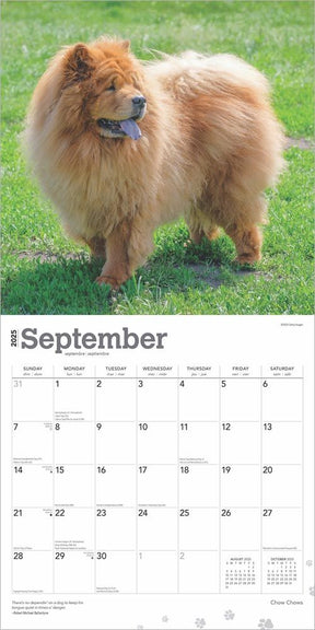 2025 Chow Chows Calendar