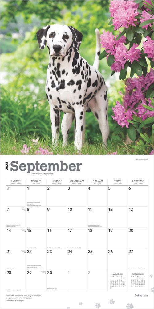 2025 Dalmatians Calendar