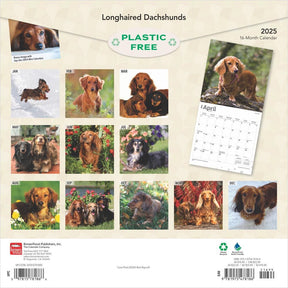 2025 Dachshunds Longhaired Calendar