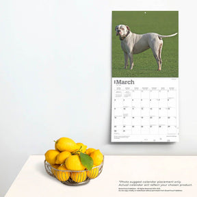 2025 American Bulldogs Calendar