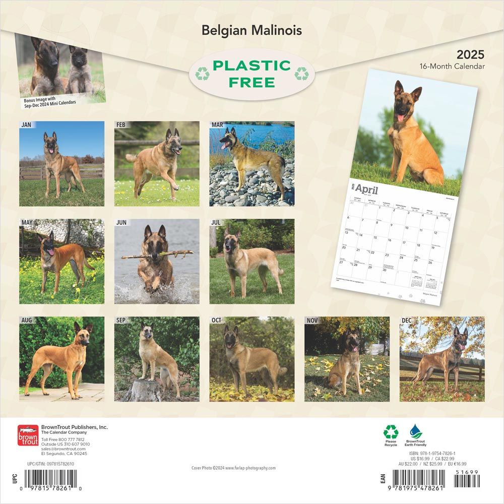 2025 Belgian Malinois Calendar