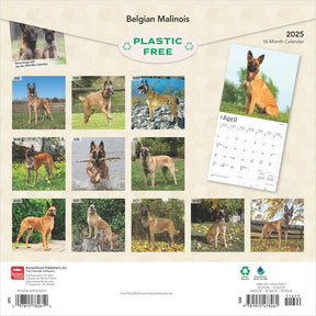 2025 Belgian Malinois Calendar