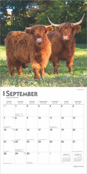 2025 Highland Cows Calendar