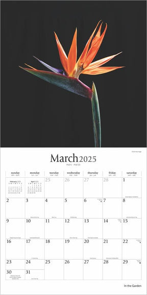 2025 In The Garden Calendar