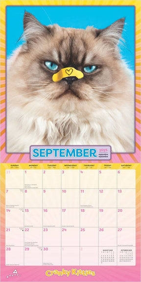 2025 Cranky Kitties Calendar