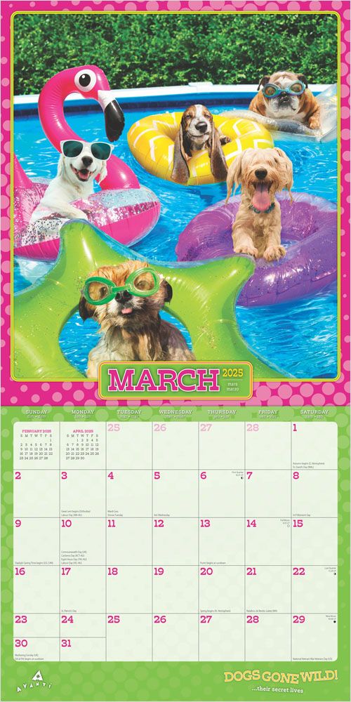 2025 Dogs Gone Wild Calendar