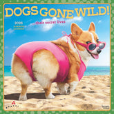 2025 Dogs Gone Wild Calendar