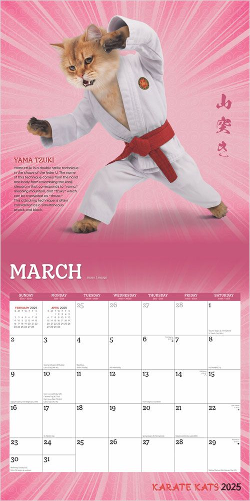 2025 Karate Cats Calendar