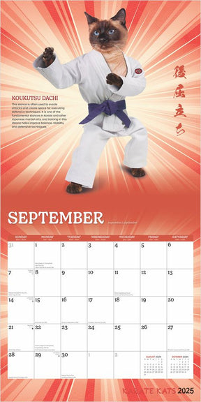 2025 Karate Cats Calendar