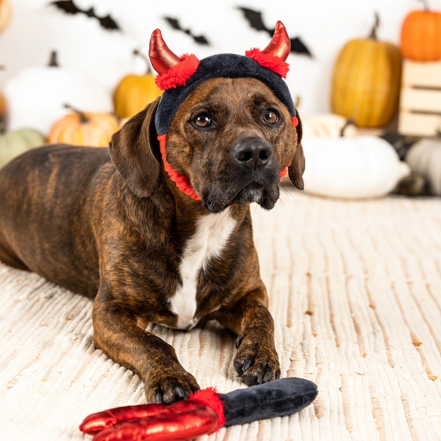 Petshop by Fringe Studio - Dog Costume Toy Set Cute Lil Devil