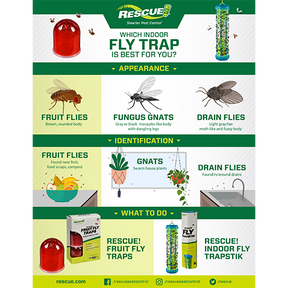 Reusable Fruit Fly Trap