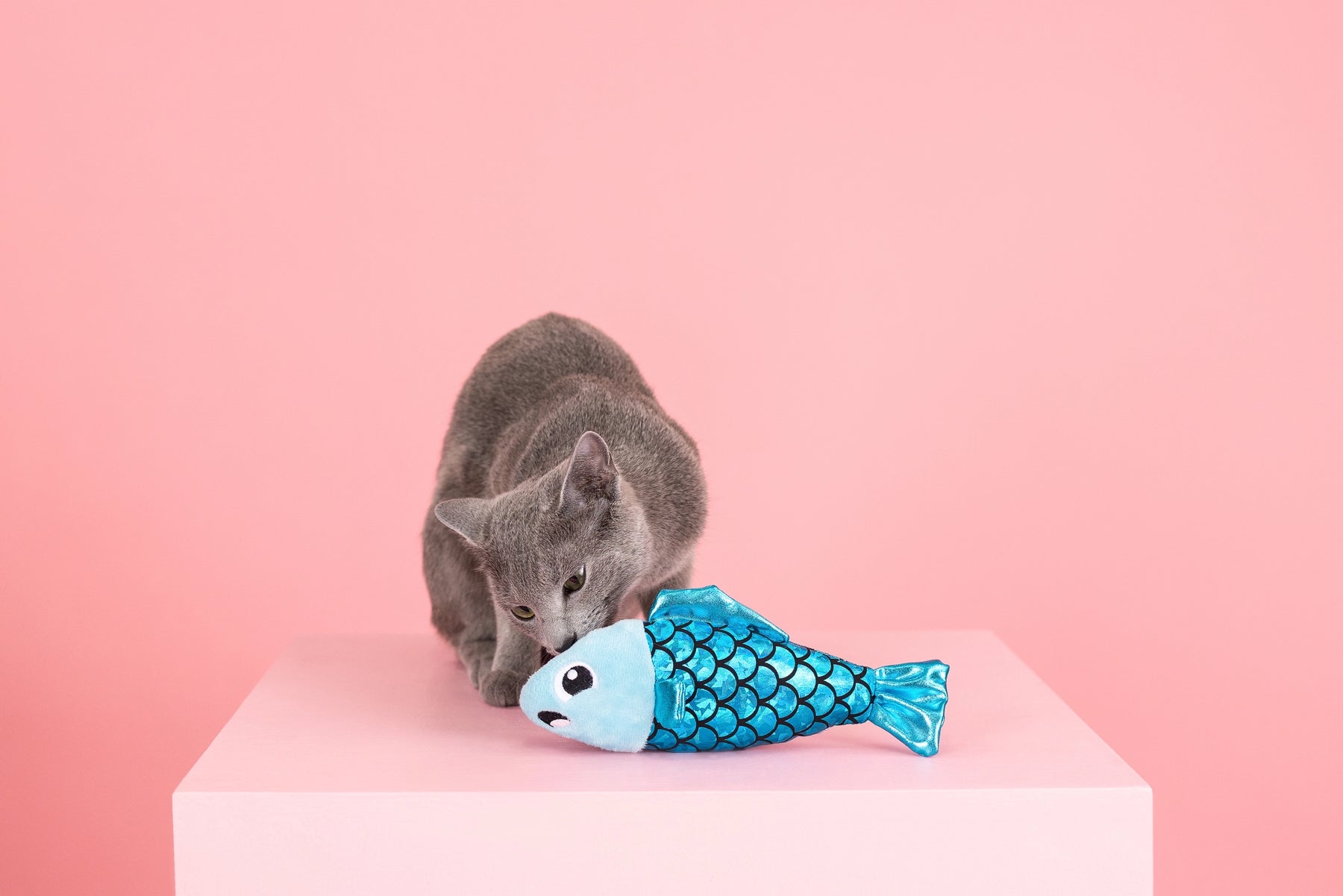 Petshop by Fringe Studio - A Little Fishy Cat Toy