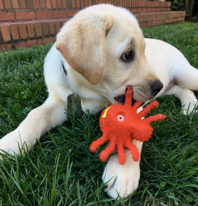 Lanco - Dog Toy Sensory Squeaky Spider