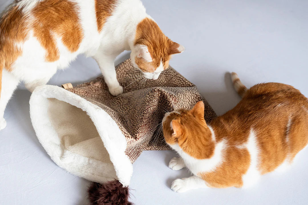 Cat Crinkle Sack