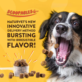 NaturVet - Scoopables Advance Probiotics & Enzymes For Dogs